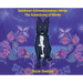 Bebikaan-Ezhiwebiziwinan Nimkii: The Adventures of Nimkii: The Adventures of Nimkii