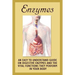 Enzymes: An Easy To Understand Guide On Digestive Enzymes And The Vital Functions They Perform In Your Body