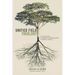 Unified Field Theology: A Journey from Evangelical Fundamentalism to Faith in What Is