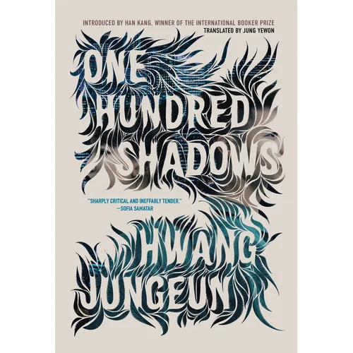 One Hundred Shadows