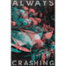 Always Crashing Issue Two