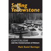 Selling Yellowstone: Capitalism and the Construction of Nature