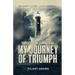 Navigating the Stormy Seas: My Journey of Triumph