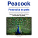 Peacock. Peacocks as pets. Peacock book for Care, Pros and Cons, Housing, Diet and Health.