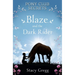 Blaze and the Dark Rider