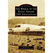 The Wreck of the Naval Airship USS Shenandoah