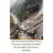 Agro Forestrium Best Plants & Trees To Prevent Catastrophic Landslides Plus Strengthen Soil Structure