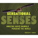 Sensational Senses: Amazing Ways Animals Perceive the World