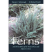 Ferns and Fern Allies of the Trans-Pecos and Adjacent Areas