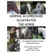 Animal Acupressure Illustrated The Horse