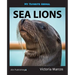 My Favorite Animal: Sea Lions