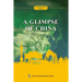 中国概览：英文 A Glimpse Of China