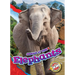 Elephants