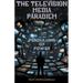 The Television Media Paradigm