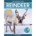 Reindeer: Amazing Facts About Nature's Arctic Travelers for Kids