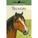 Horse Rescue: Treasure
