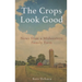The Crops Look Good: News from a Midwestern Family Farm