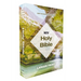 Niv, Holy Bible, Larger Print, Economy Edition, Paperback, Teal/Tan, Comfort Print