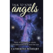 Talk to your angels: How to have great angel conversations in 30 days or less