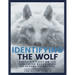 Identifying The Wolf: Shedding Light on the Grooming Behaviours of Sexual Predators