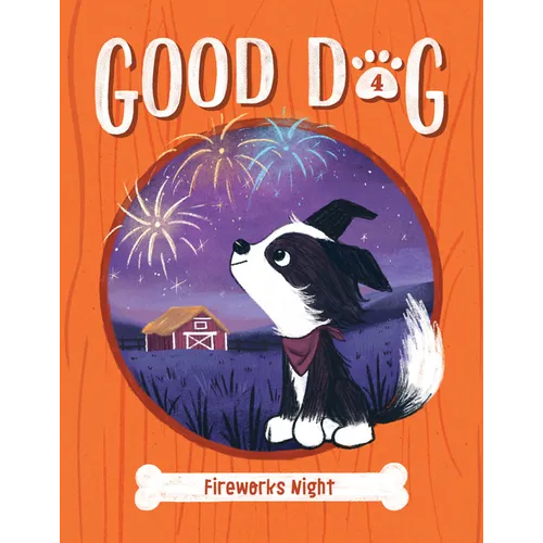 Fireworks Night: #4