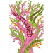 Intertwined: Women, Nature, and Climate Justice