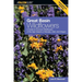 Great Basin Wildflowers