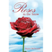 Roses in the Snow