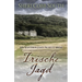 Irische Jagd: Ein weiterer John Pickett Krimi