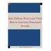 State Defense Forces and Their Role in American Homeland Security