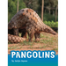 Pangolins