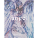 The angel book