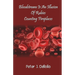 Bloodstream Is An Illusion Of Rubies Counting Fireplaces