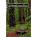 Walking Fitness Diary