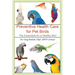 Preventative Health Care for Pet Birds: The Essentials for a Healthy Bird