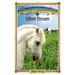 Silver Dream: Sometimes Horses Need a Little Magic
