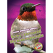 Ruby-Throated Hummingbirds