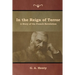 In the Reign of Terror: A Story of the French Revolution