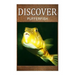 Puffer Fish - Discover: Early reader's wildlife photography book