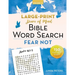 Peace of Mind Bible Word Search: Fear Not