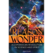 Reason and Wonder: A Copernican Revolution in Science and Spirit