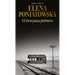 El Tren Pasa Primero (Novela Histórica) / First Comes the Train (a Historical Novel)