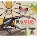 Lonely Planet Kids Bug Atlas: Amazing Facts & Fold Out Maps Meet Spiders, Butterflies, Beetles & More Packed with Beautiful Illustrations & Macro Phot