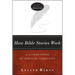 How Bible Stories Work: A Guided Study of Biblical Narrative
