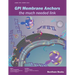 GPI Membrane Anchors-The Much Needed Link