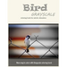 Cute Bird Grayscale Coloring Book for Adults Relaxation: New Way to Color with Grayscale Coloring Book