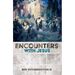 Encounters with Jesus