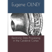Electronic Data Processing in the Cerebral Cortex