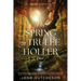 The Spring in Trulee Holler