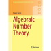 Algebraic Number Theory